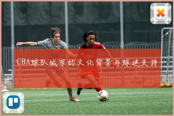 CBA球队城市的文化背景与球迷支持