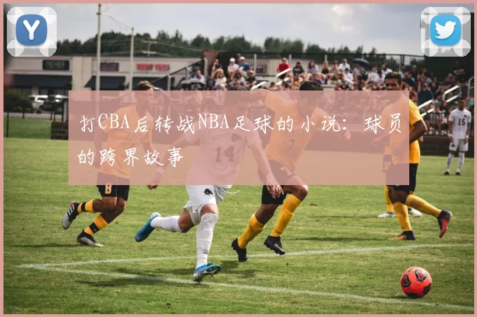 打CBA后转战NBA足球的小说：球员的跨界故事