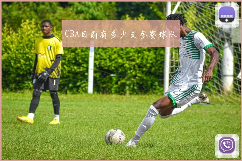 CBA目前有多少支参赛球队