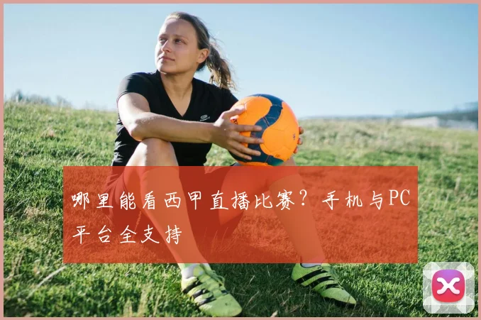 哪里能看西甲直播比赛？手机与PC平台全支持
