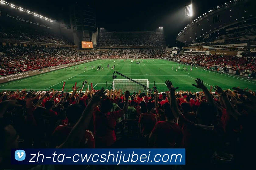 世界杯买球服务体系